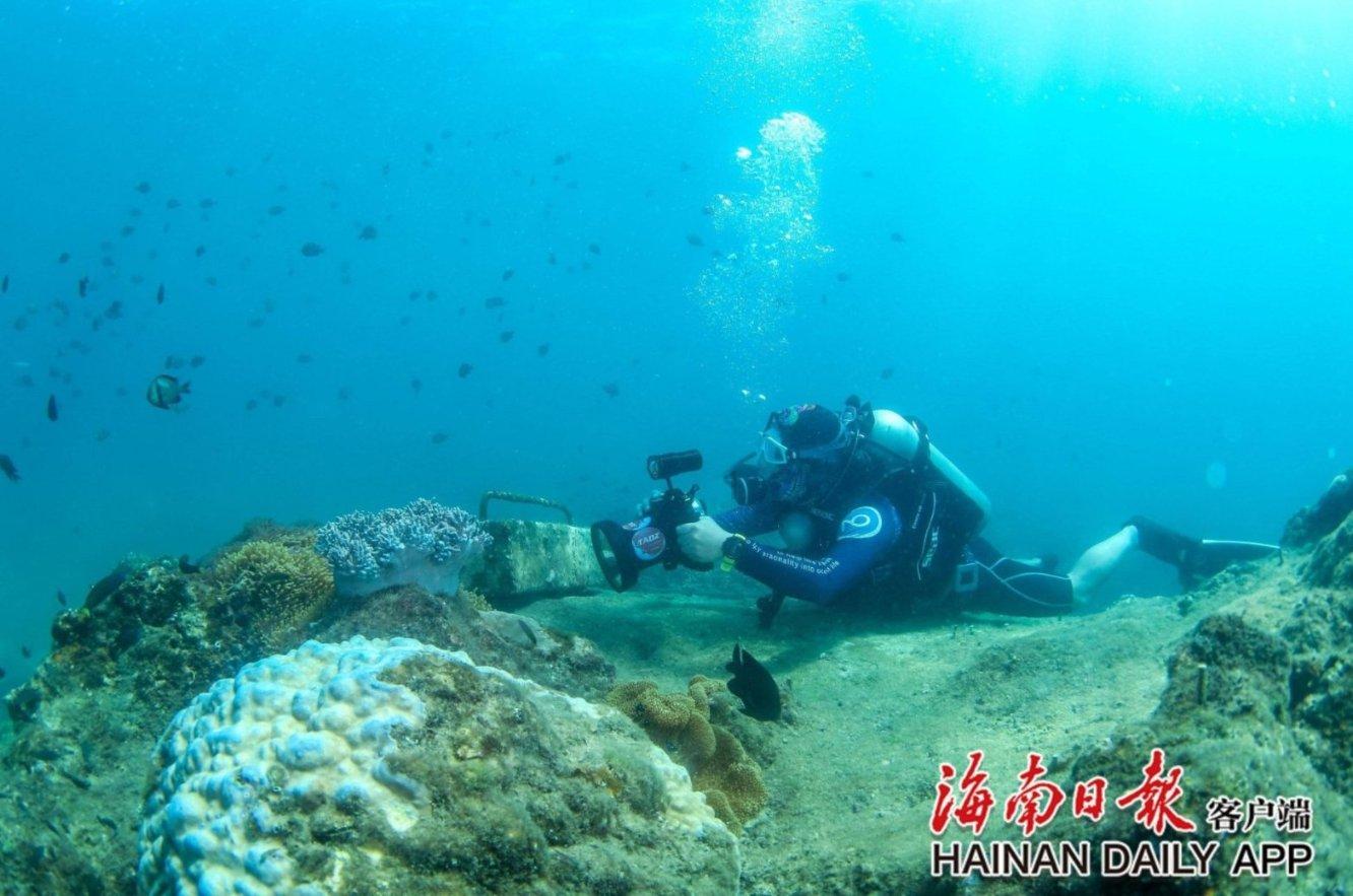 玛丽皇后的时装